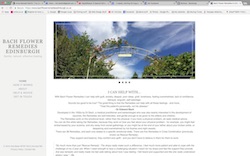 Bach Flower Remedies portfolio